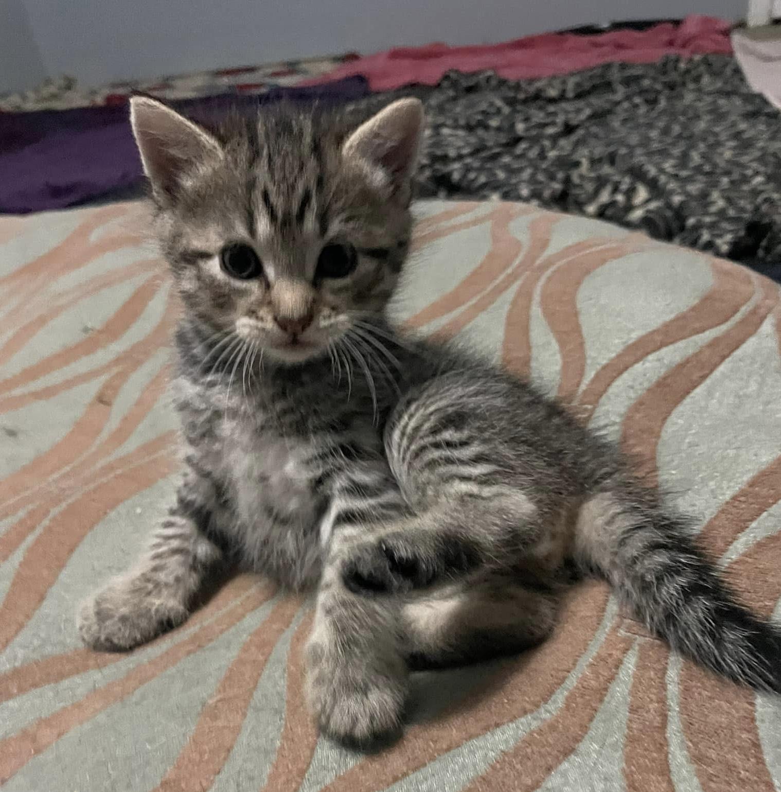 Fluffy