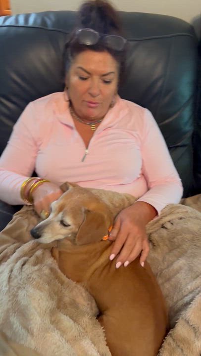 Enlarge Reba, an adopted mixed breed in Warwick, RI video 4/6