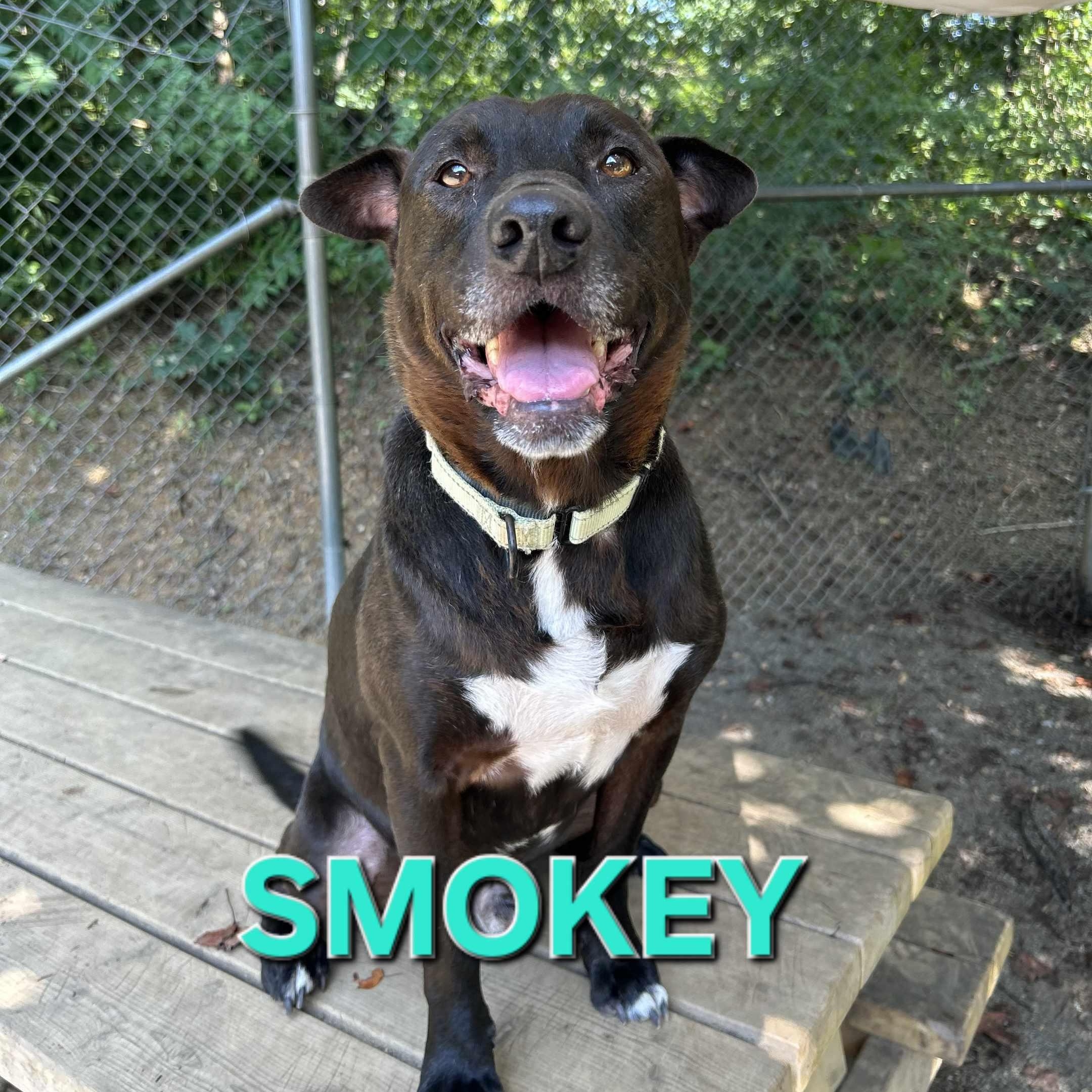 Smokey