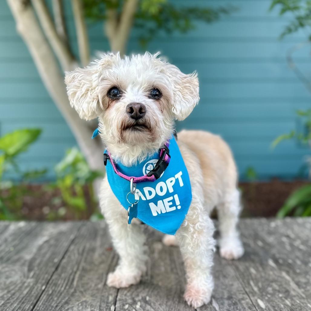 Sunshine Sophie — thumbnail 3