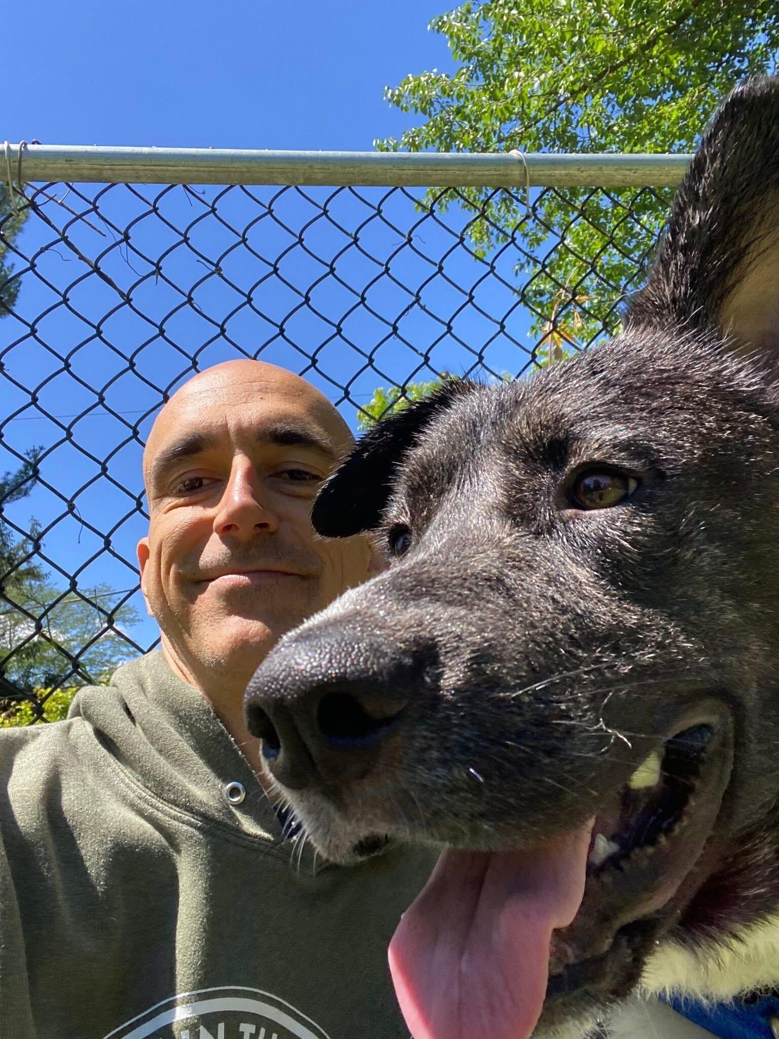 Scout, a Adoptable Mixed Breed in Media, PA image 4/4