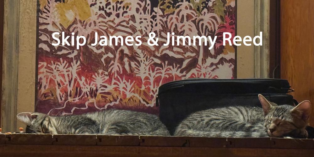 Enlarge Jimmy Reed, a Adoptable mixed breed in Cleveland, OH image 2/3