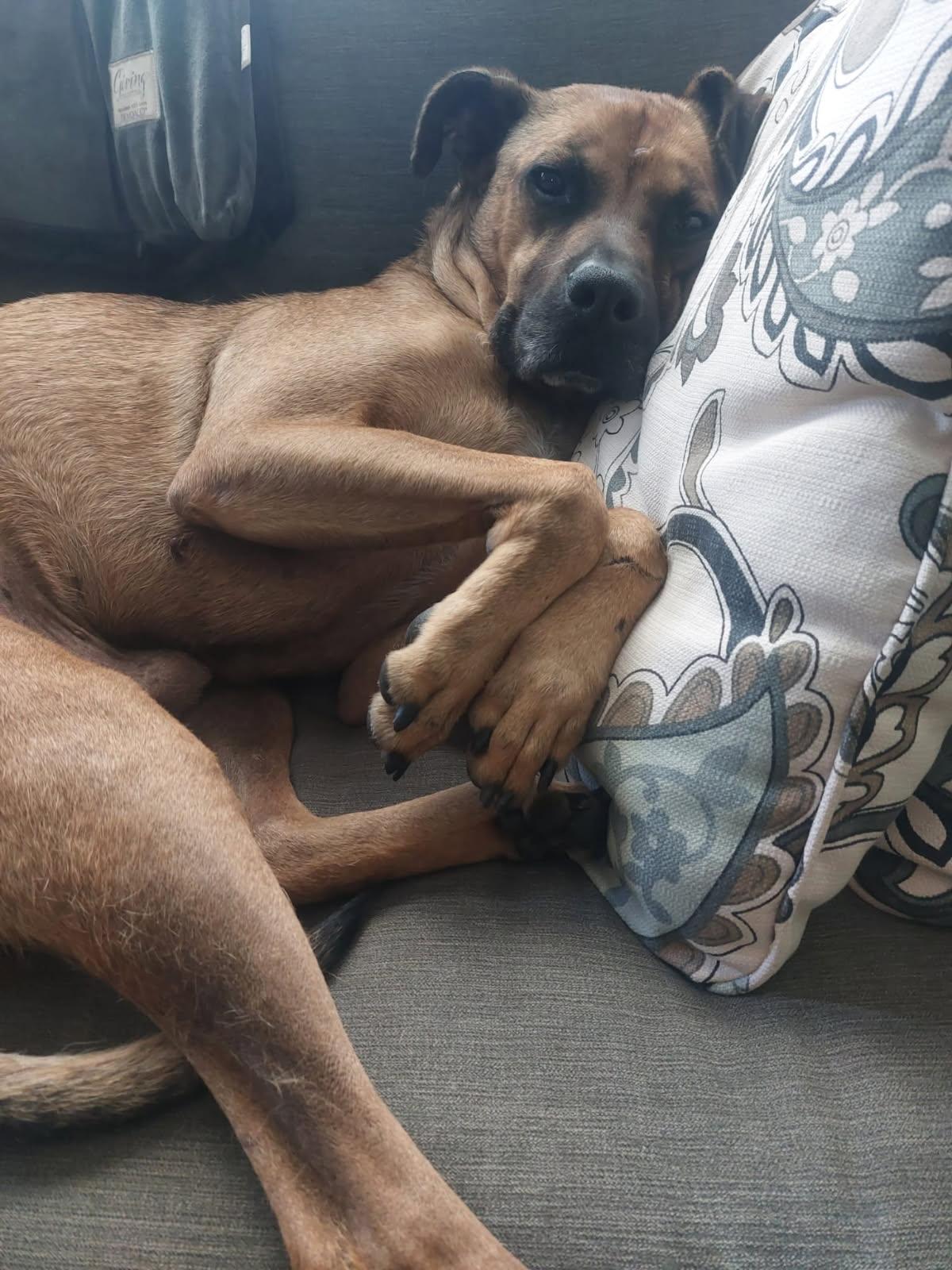 Hank photo 3