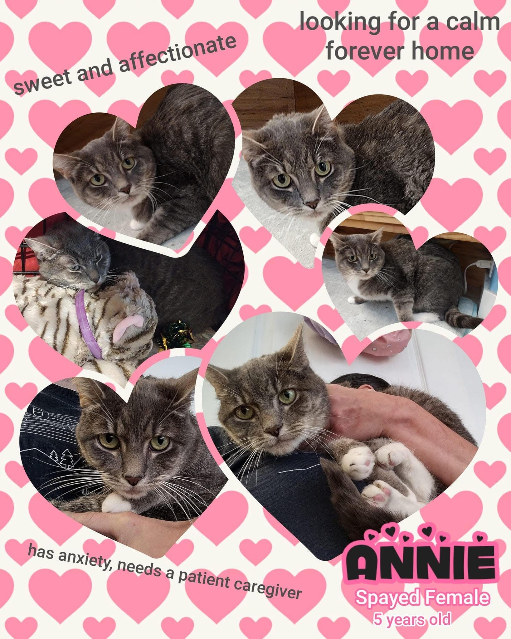 Annie 2