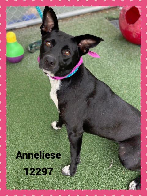 ANNELIESE