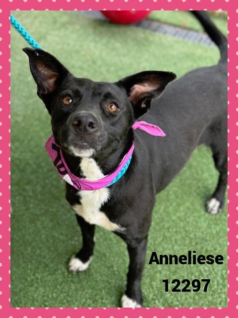 ANNELIESE