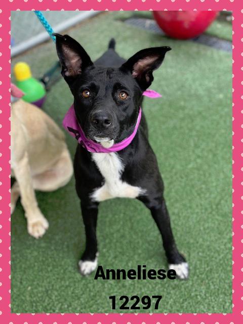 ANNELIESE