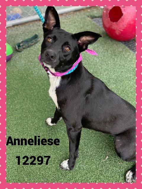 ANNELIESE