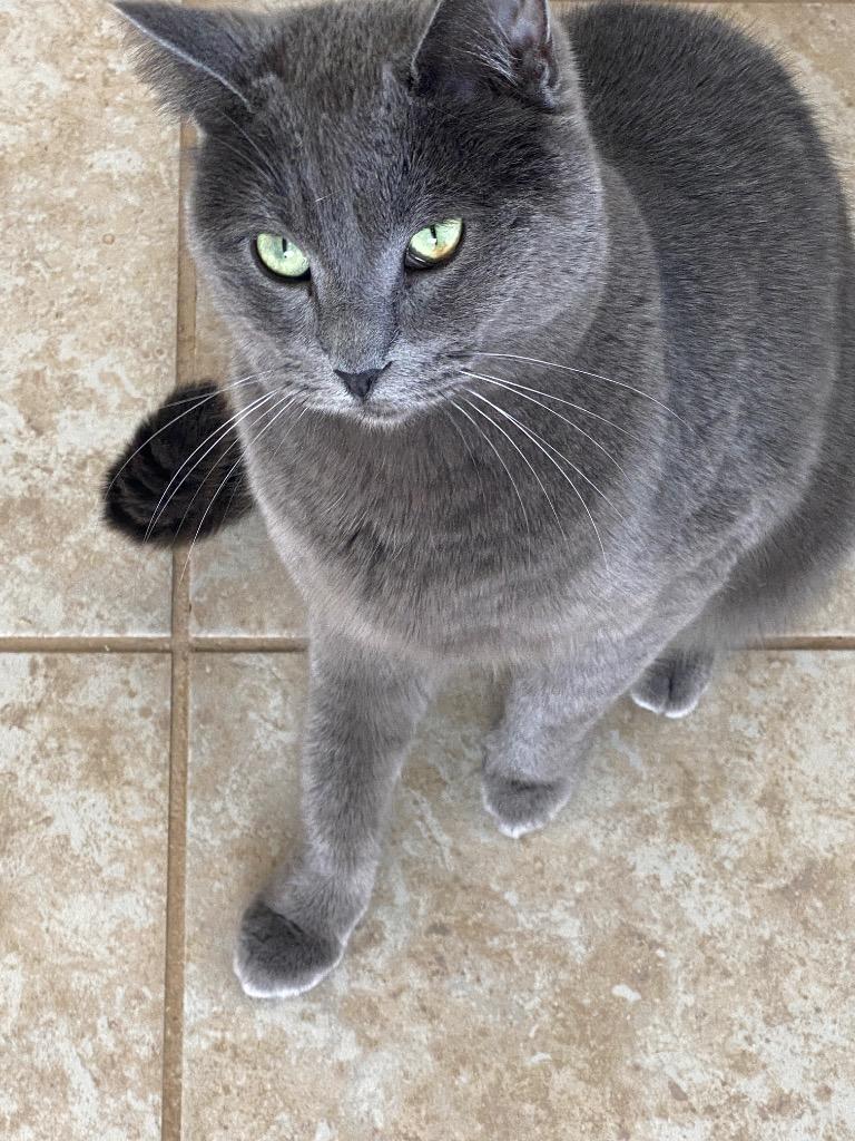 Trudy — thumbnail 2