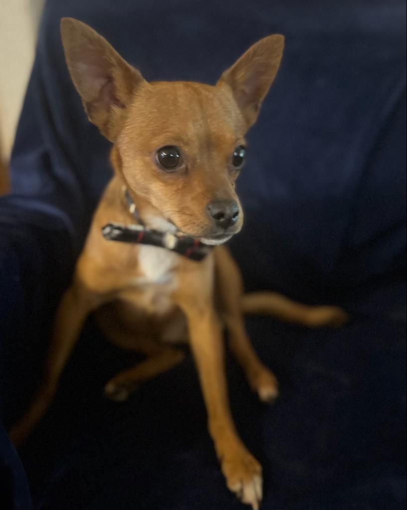 Arlo photo 2