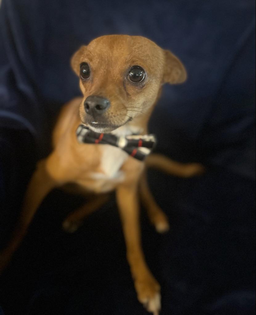 Arlo photo 3