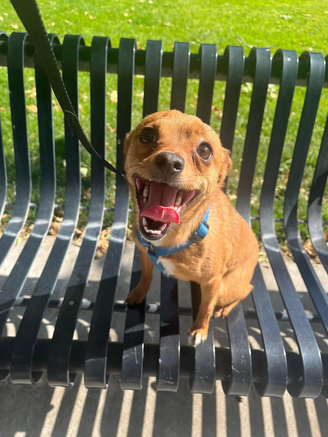 Arlo