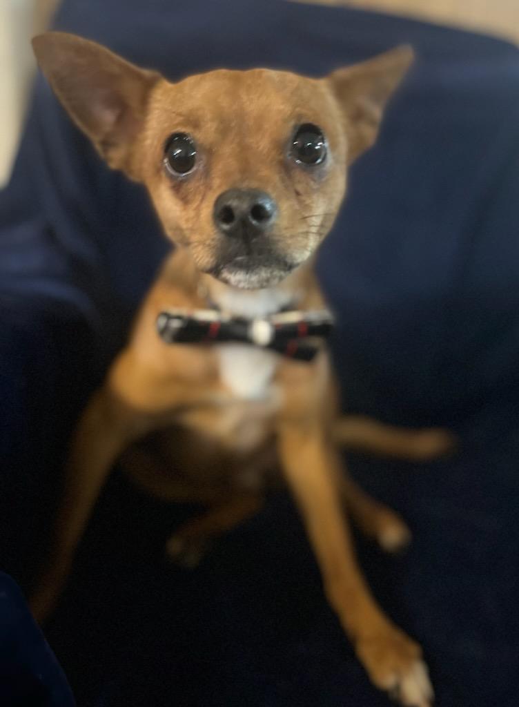 Arlo photo 4