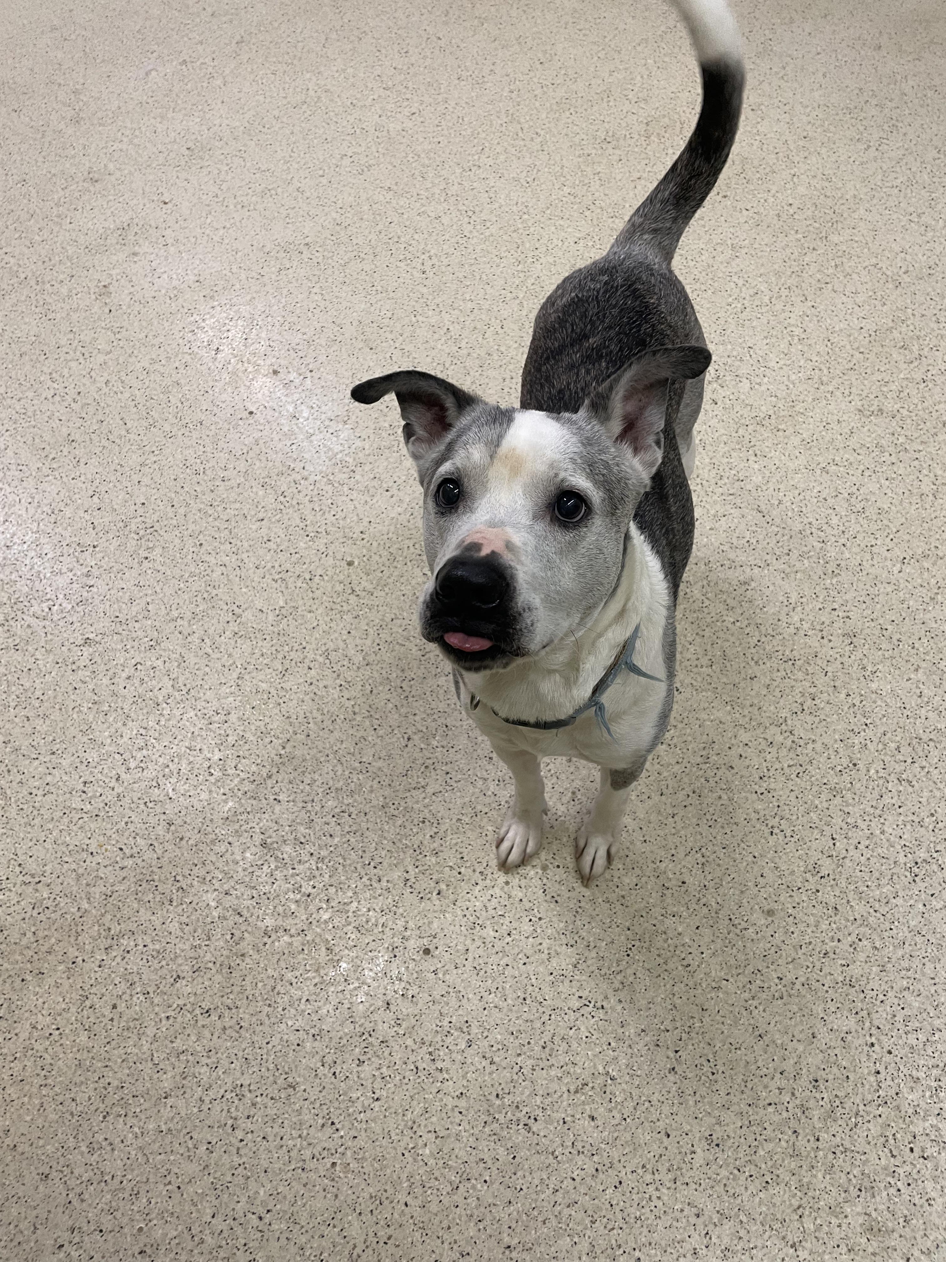 Barry — thumbnail 5