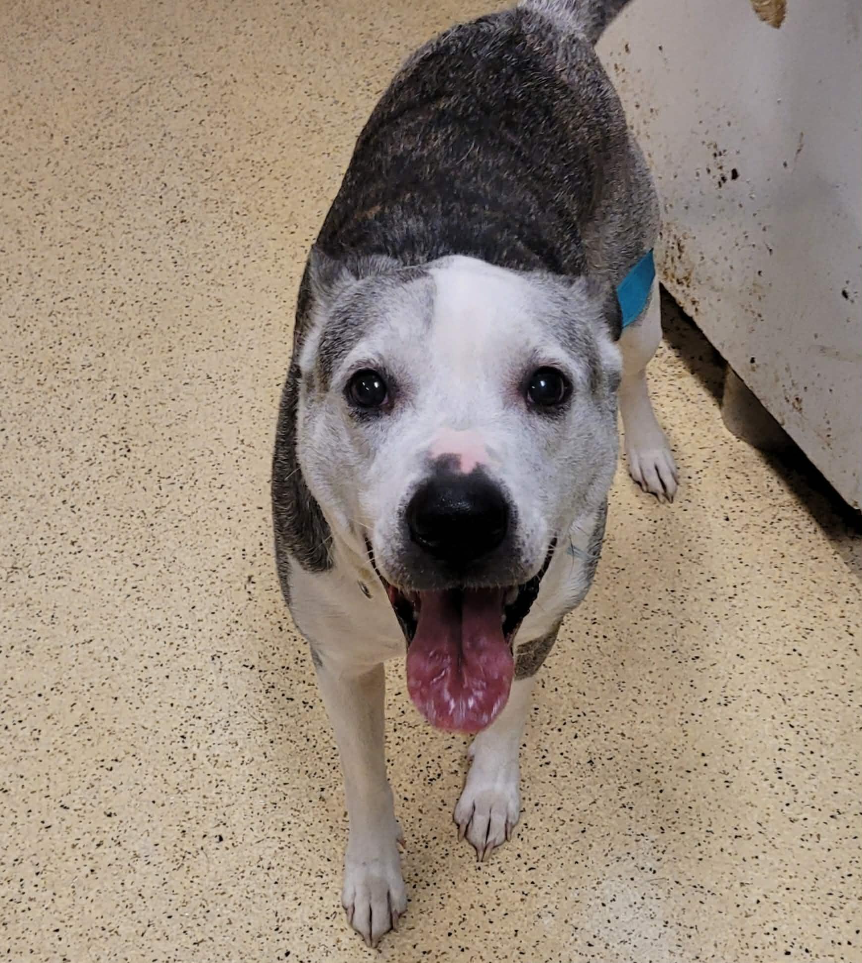 Barry — thumbnail 6