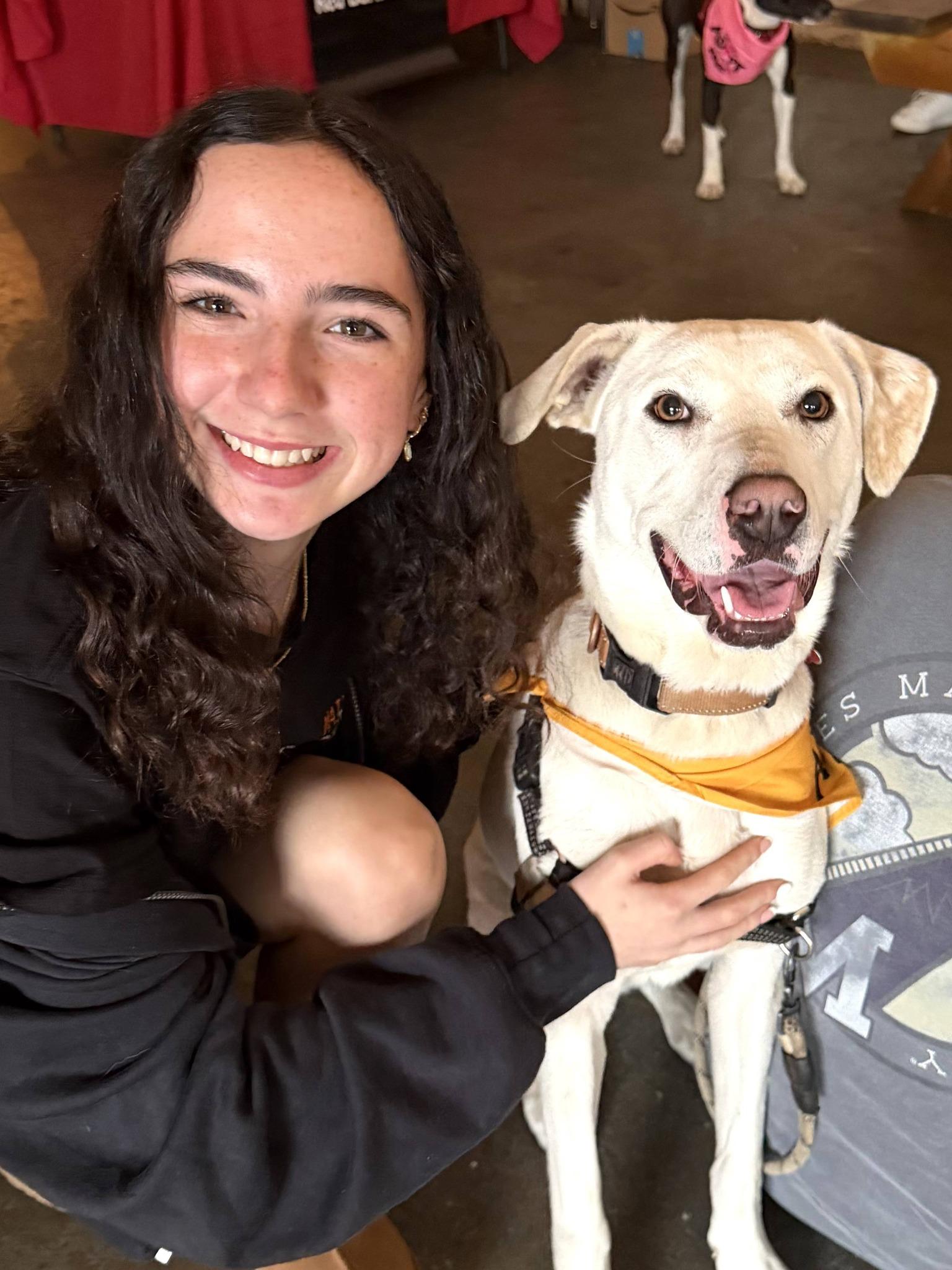 Enlarge Rosie - AVAILABLE TO FOSTER OR ADOPT, an adopted mixed breed in Clayton, NC image 4/5