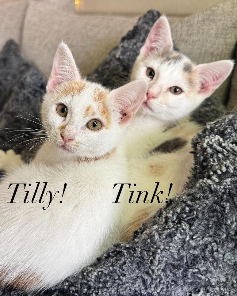 Tilly