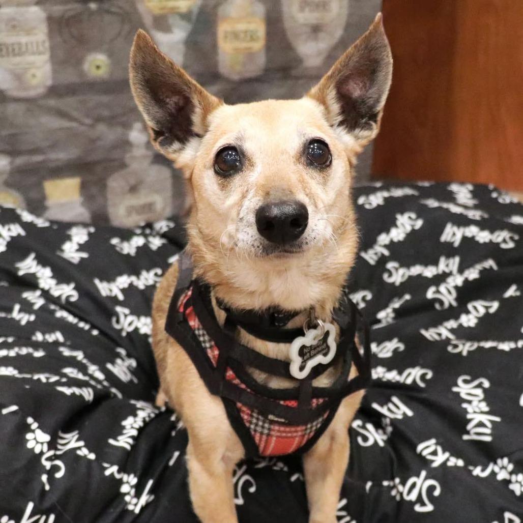 Mila — thumbnail 2