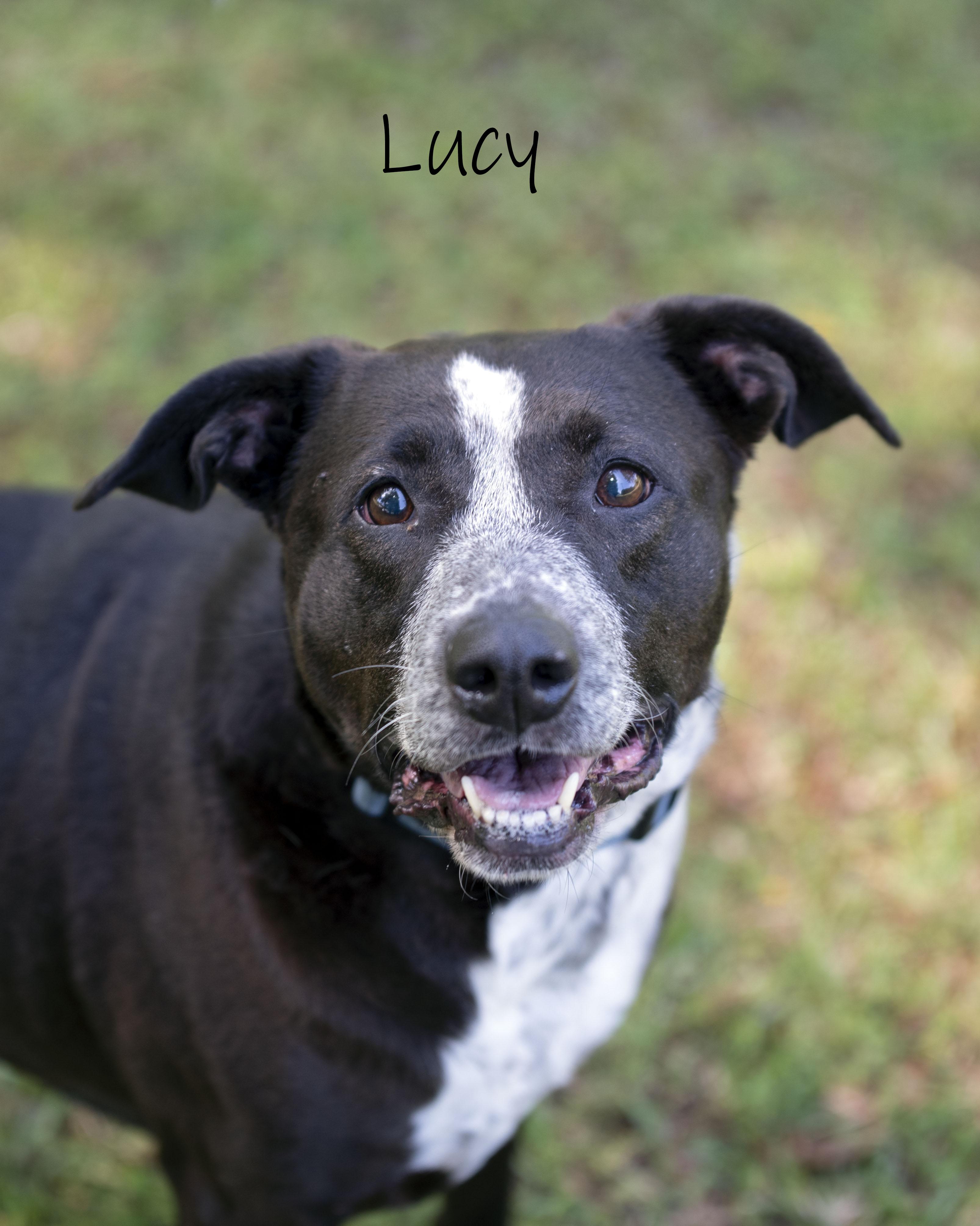 Lucy thumbnail 4