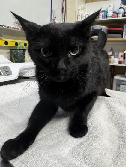 Mama Bear @ Petsmart