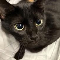 Mama Bear @ Petsmart — thumbnail 2