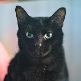 Mama Bear @ Petsmart — thumbnail 3