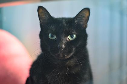 Mama Bear @ Petsmart — thumbnail 4