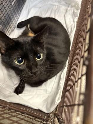 Mama Bear @ Petsmart — thumbnail 5