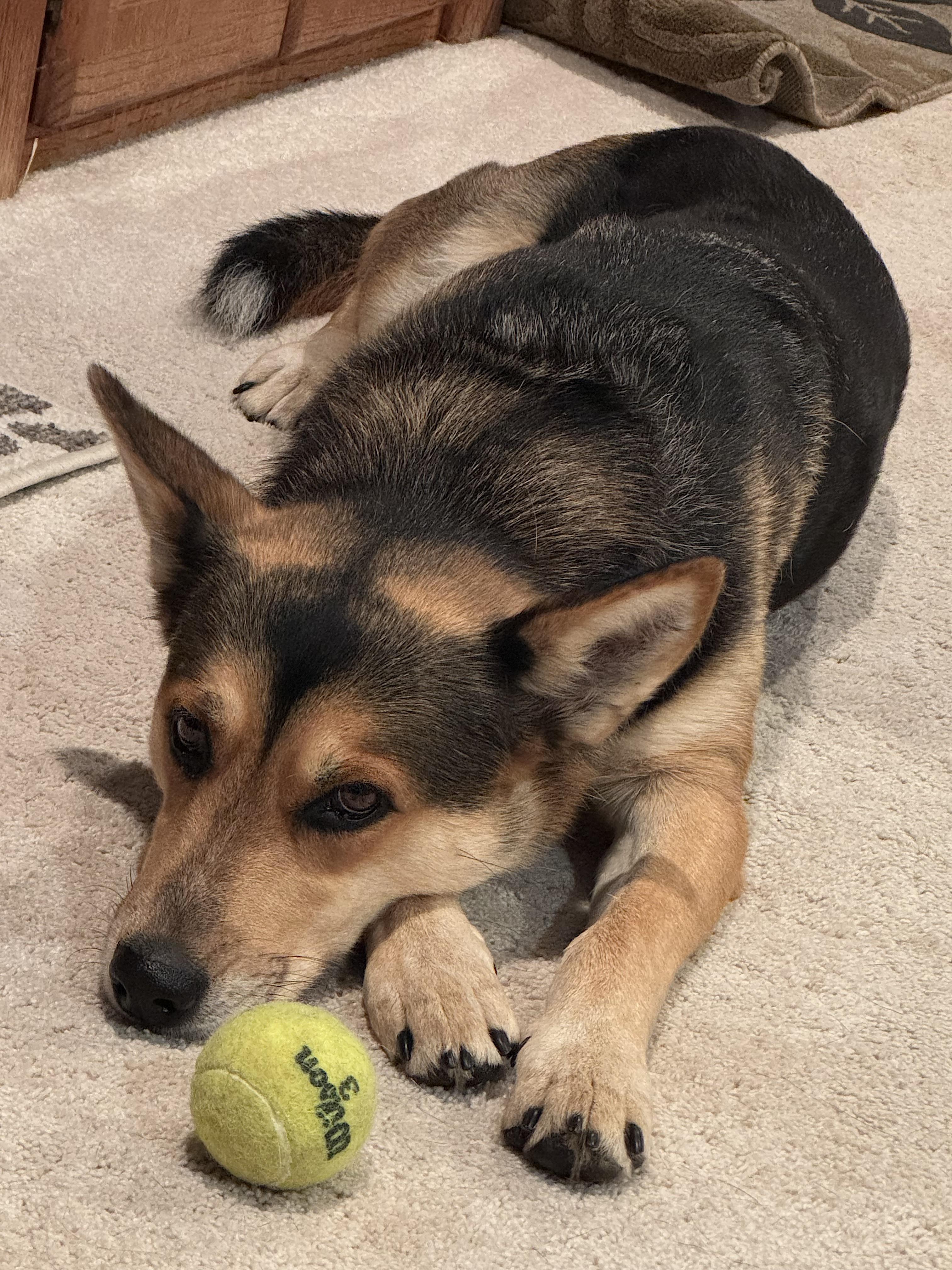 Tori — thumbnail 2