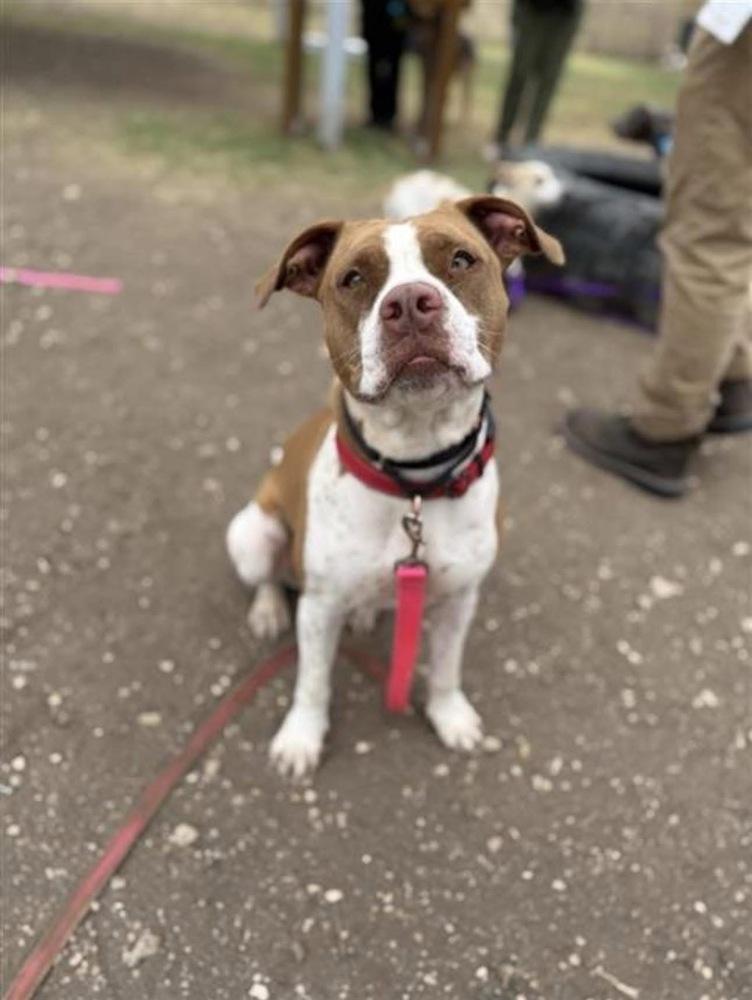 Sweet Baby Angel thumbnail 5