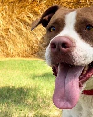 Sweet Baby Angel thumbnail 2