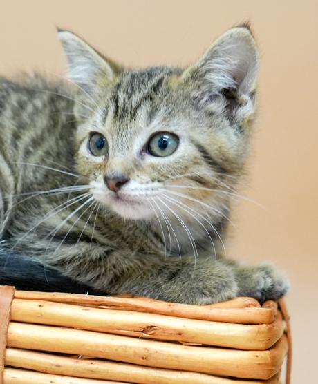 Freda can't be any friendlier!  Polka dotted tiny tot!