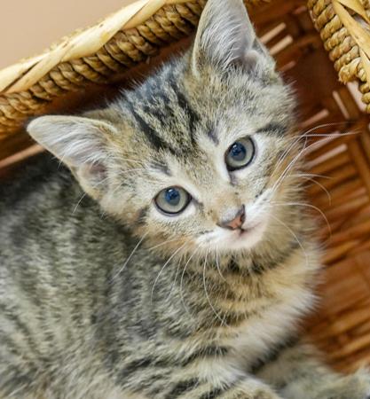 Freda can't be any friendlier!  Polka dotted tiny tot!