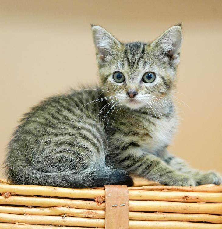 Freda can't be any friendlier!  Polka dotted tiny tot!