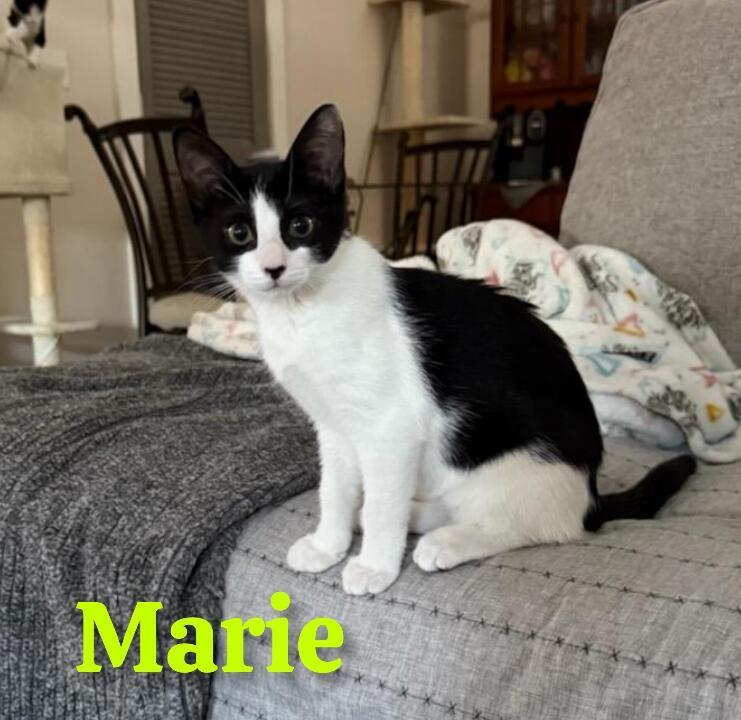 Marie