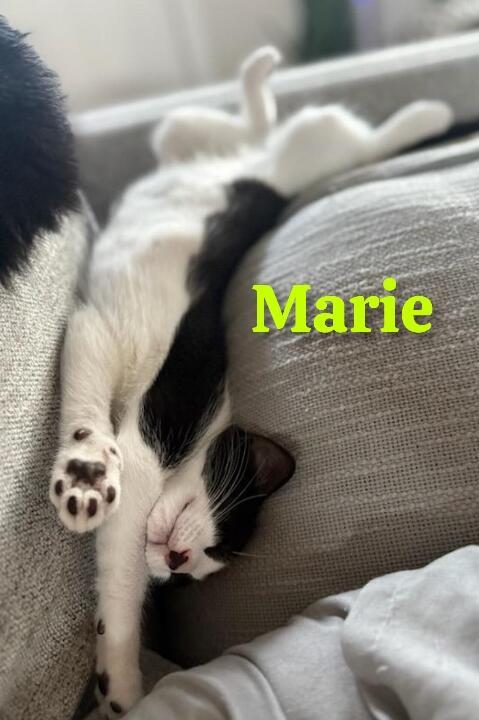 Marie