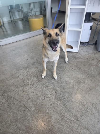 Marley Rose — thumbnail 3