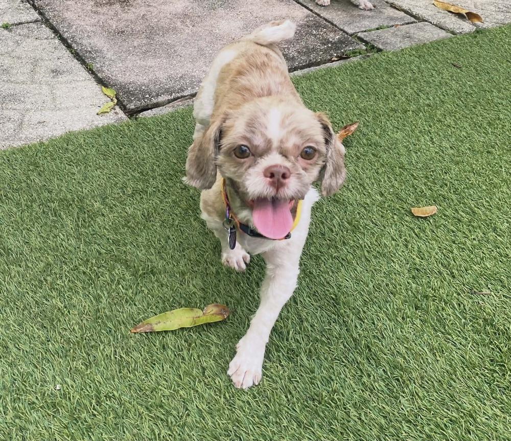 Pound Cake — thumbnail 2