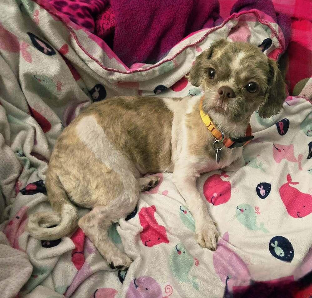 Pound Cake — thumbnail 3