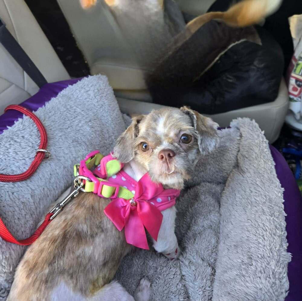 Pound Cake — thumbnail 4