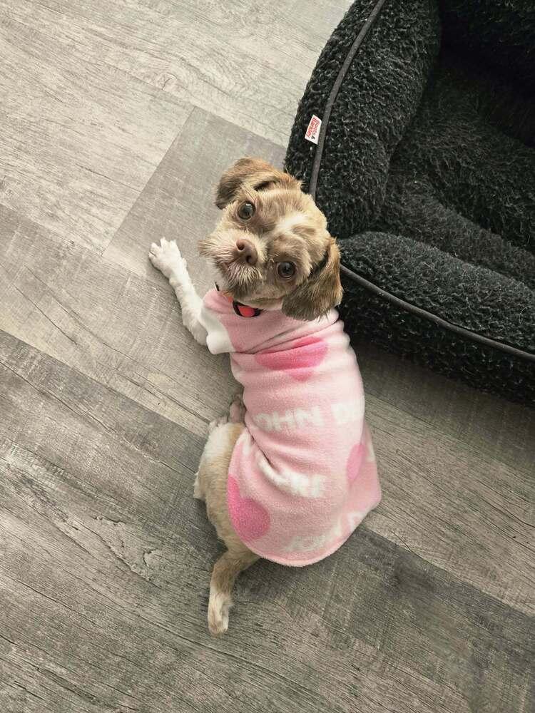 Pound Cake — thumbnail 5