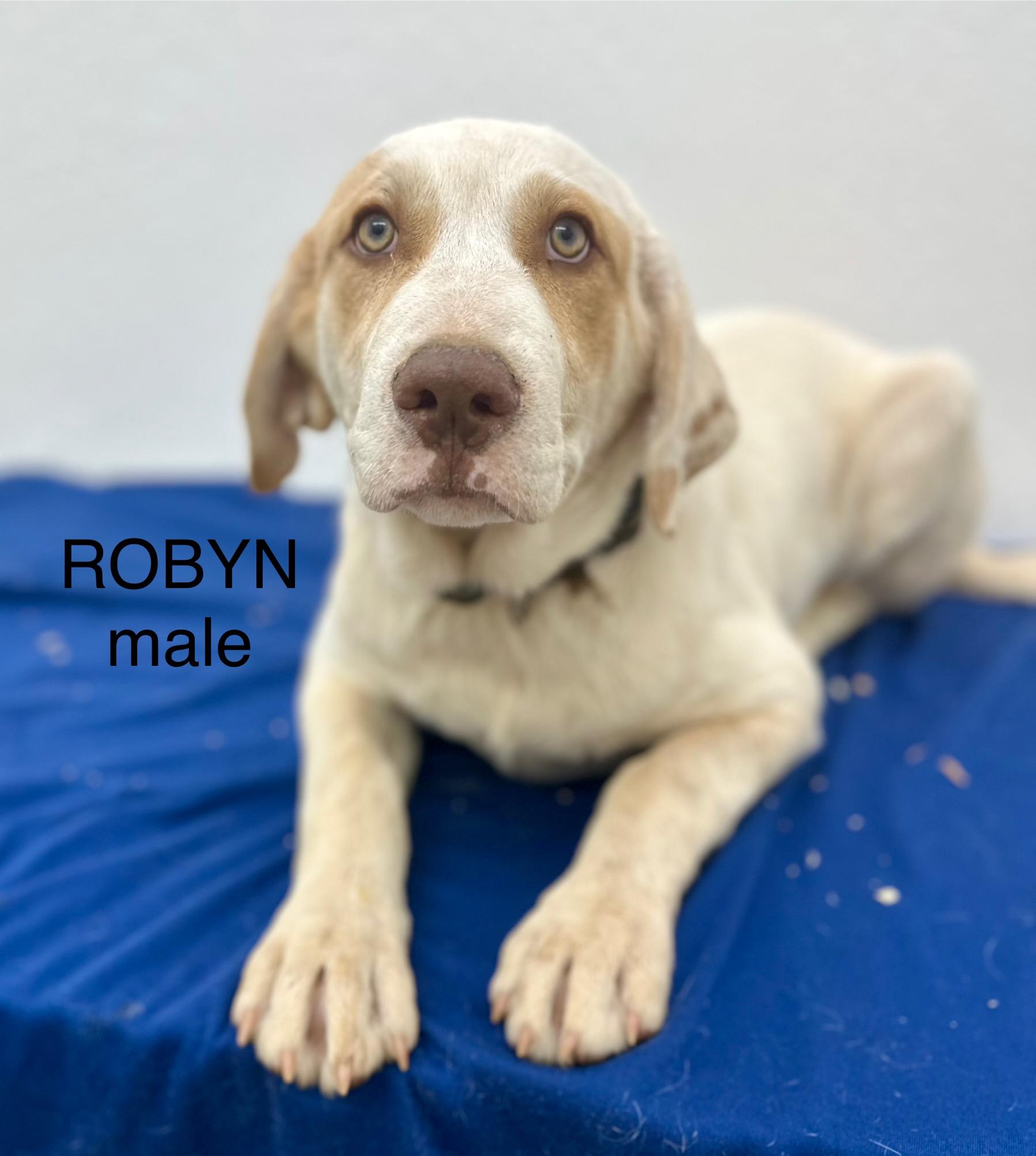 Robyn 0125