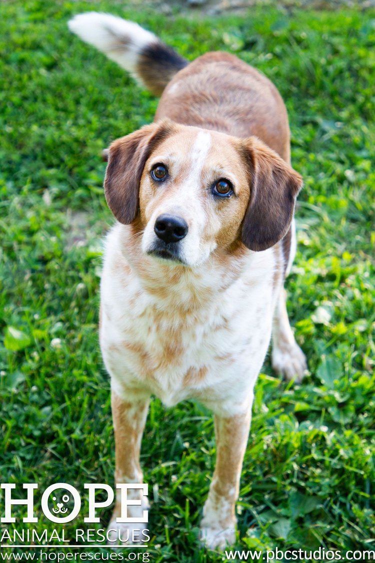 Luna — thumbnail 2