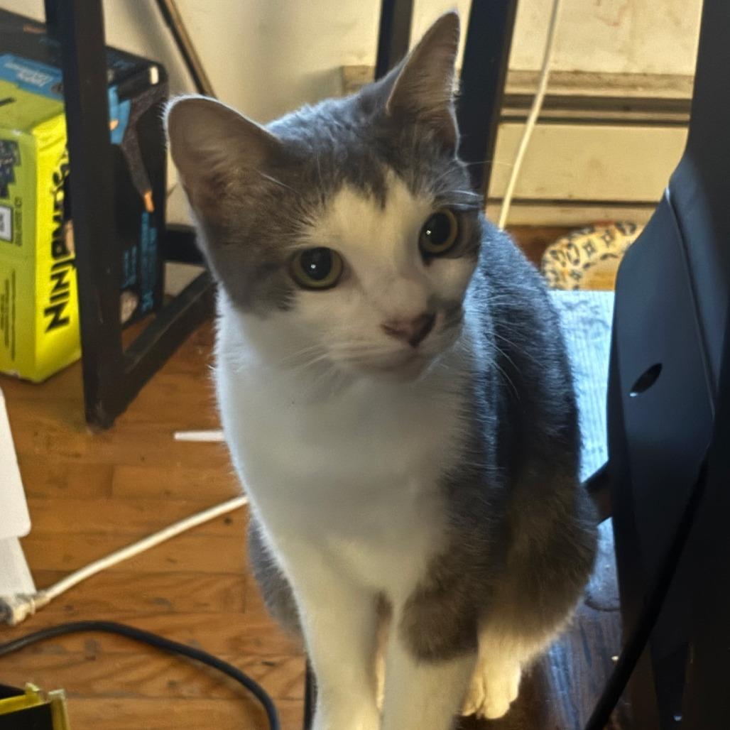 Margaret Dashwood — thumbnail 2