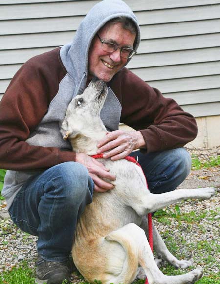 Leah, a Adoptable mixed breed in Columbus, WI image 3/6