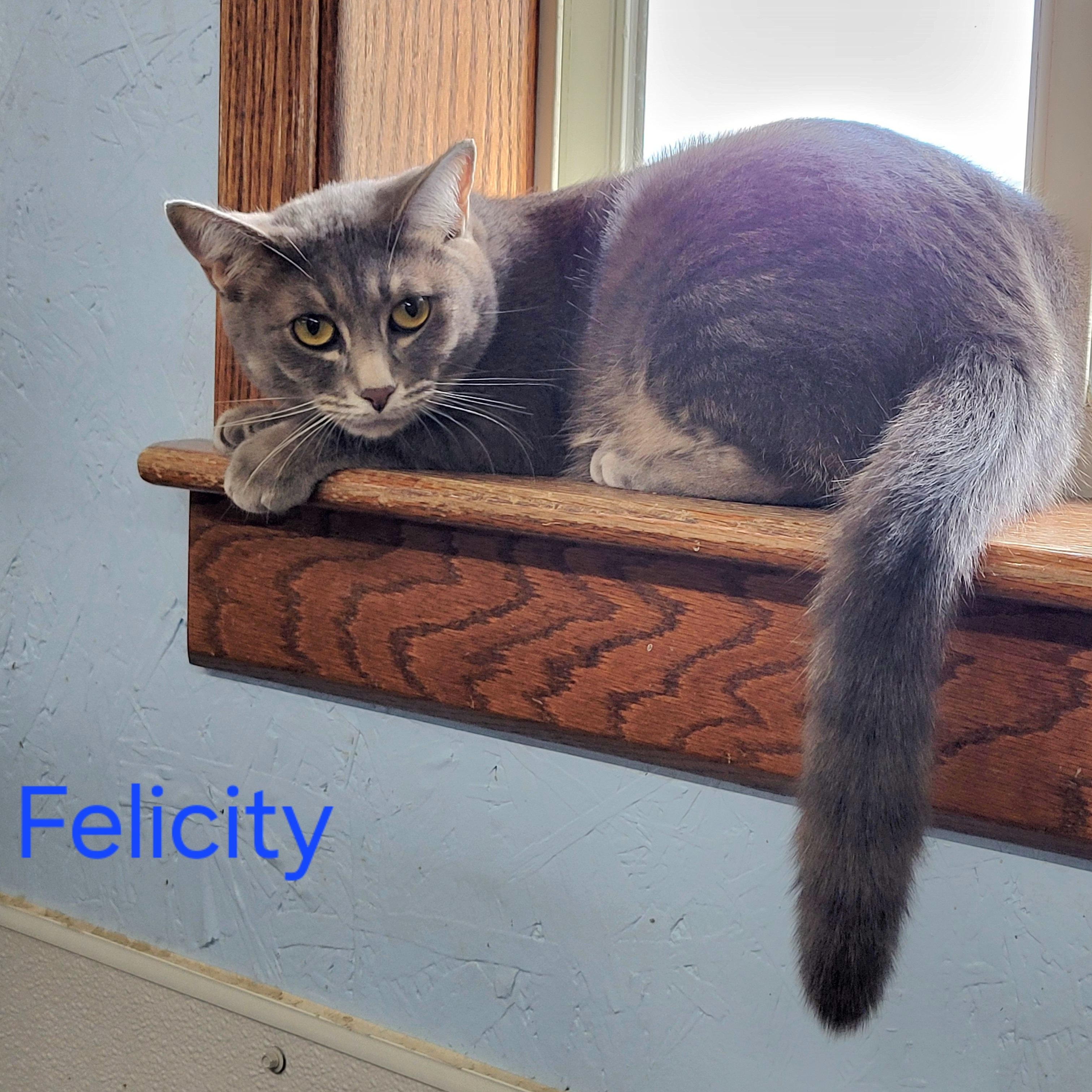 Felicity