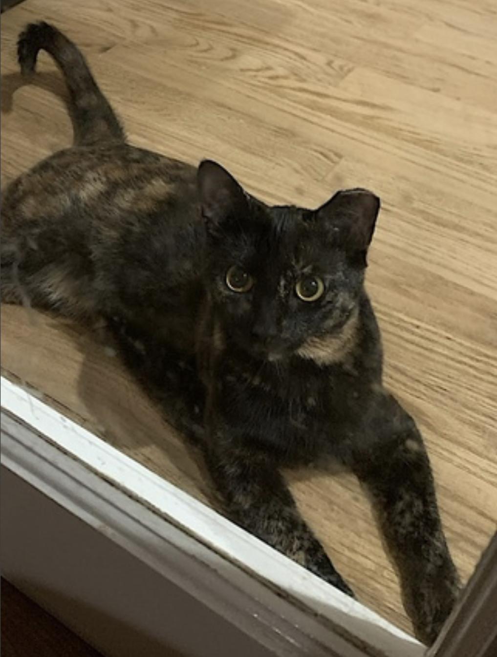 Momma Bear and Baby Bear — thumbnail 4