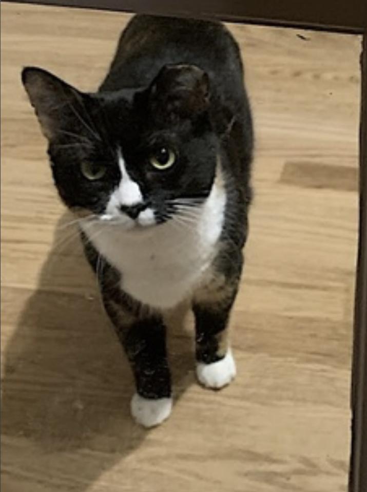 Momma Bear and Baby Bear — thumbnail 5