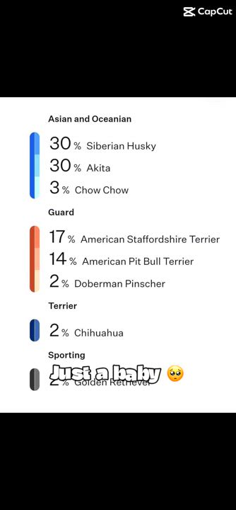 Enlarge Ginger, a Adoptable mixed breed in Anderson , SC video 6/6