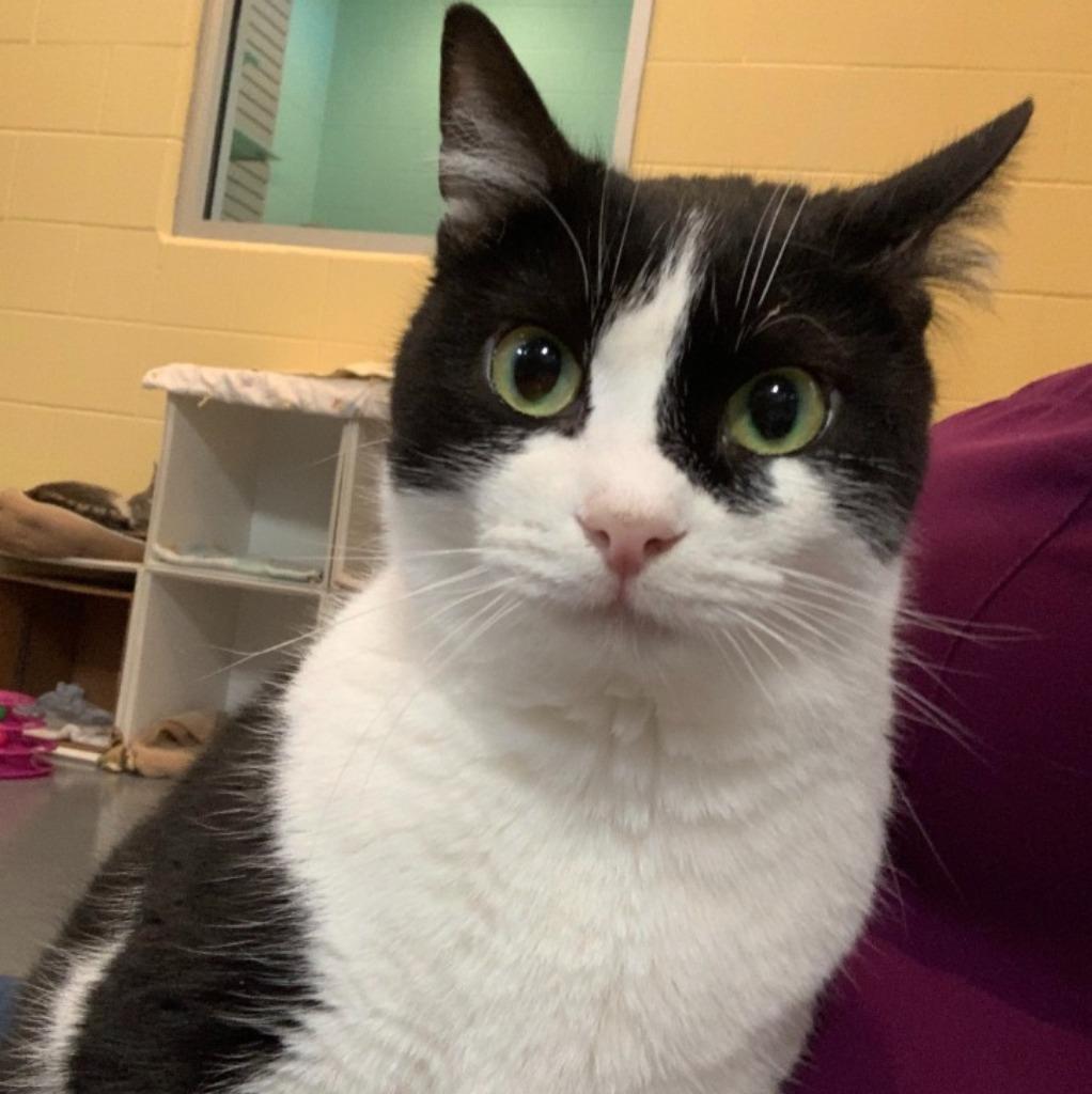 Marion Ravenwood — thumbnail 3